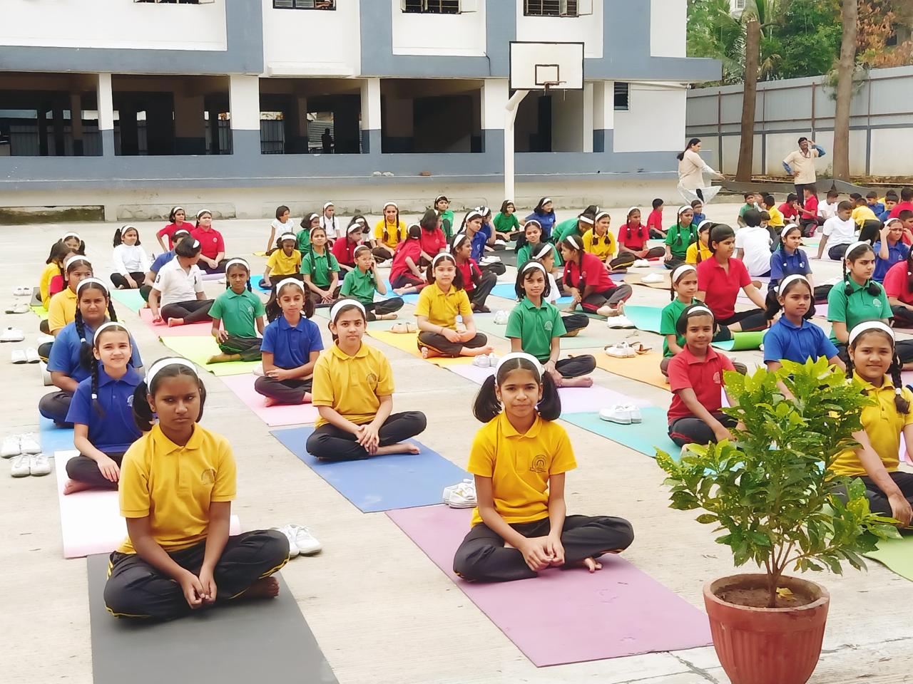 Yoga Day 21st June 2024